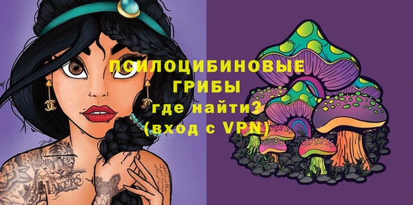 не бодяженный Михайлов