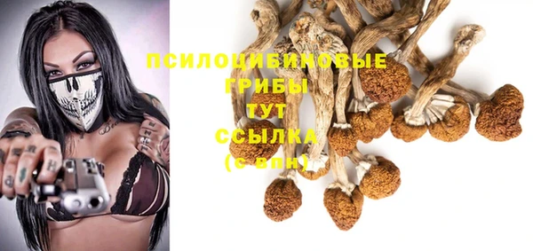 гидра Алексеевка