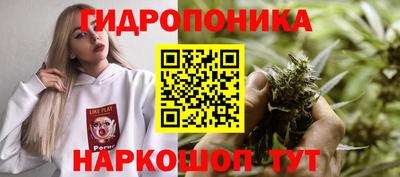 стафф Бийск