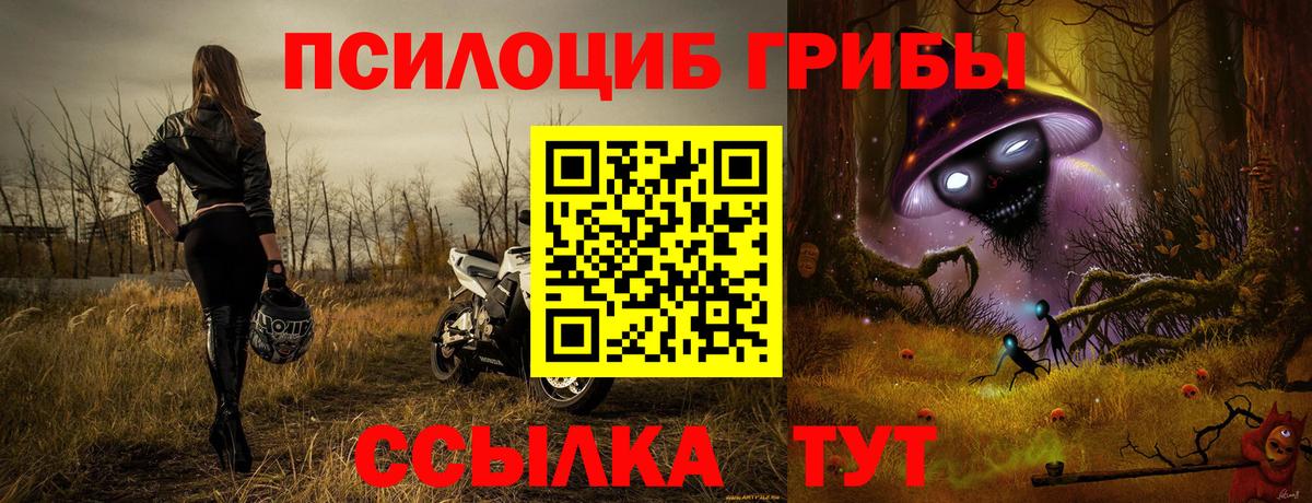 Псилоцибиновые грибы ЛСД Зеленокумск